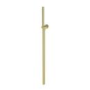 Newport Brass Forever Brass - PVD Single Function Hand Shower 