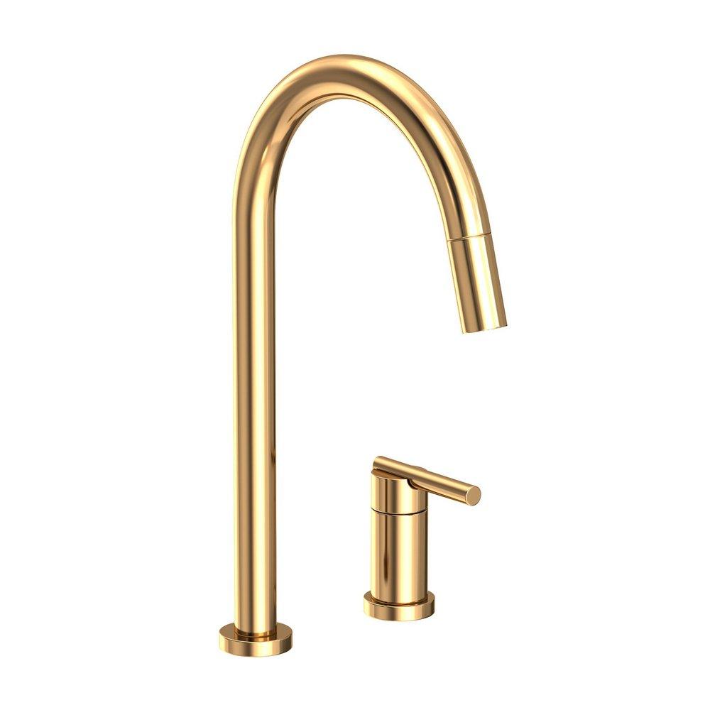 Newport Brass Uncoated Polished Brass - Living Single Handle Pull Down Kitchen Faucet 