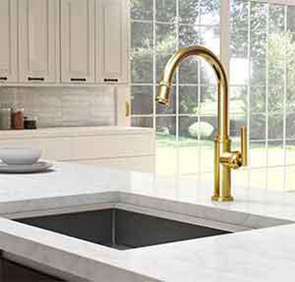 Newport Brass Uncoated Polished Brass - Living Pull Down Kitchen Faucet 