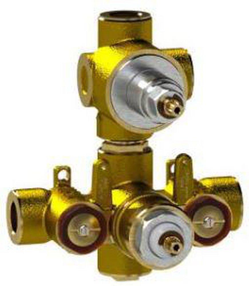 Newport Brass FNPT Thermostatic Valve 