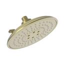 Newport Brass Uncoated Polished Brass - Living Multi Stream,Luxnetic Wave and Pause Showerhead 