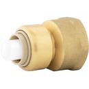 3/8 x 1/2 in. FPT Push On Reducing Adapter