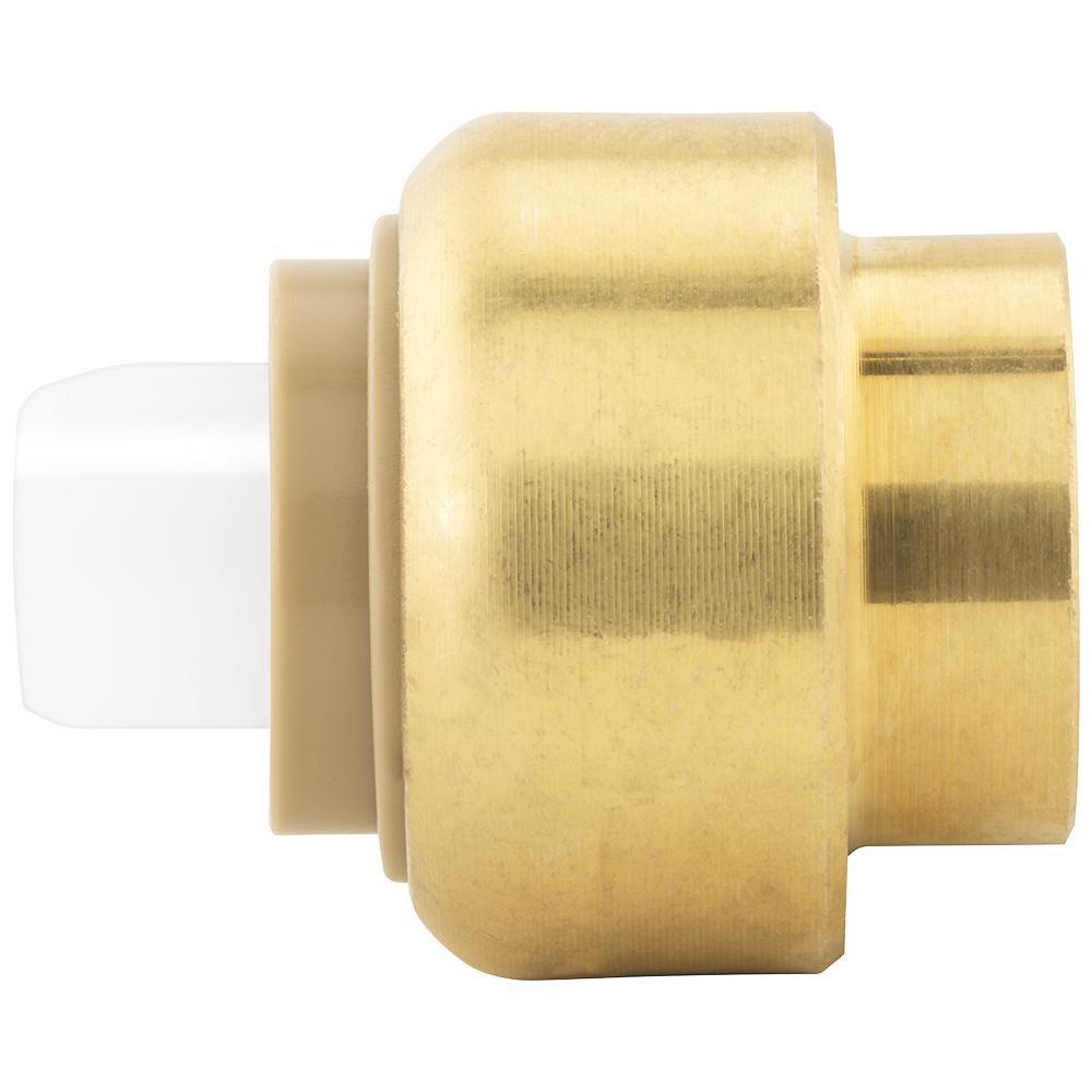 Jones Stephens Rough Brass Push 200 psi Brass Cap 