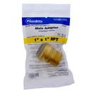 Jones Stephens Rough Brass 1-37/50 in. Push x MNPT Global Brass Adapter 