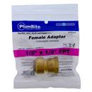 Jones Stephens Rough Brass Push x FNPT 200 psi Brass Adapter 