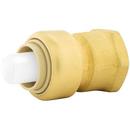 Jones Stephens Rough Brass Push x FNPT 200 psi Brass Adapter 