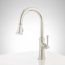 Signature Hardware Polished Nickel Single Handle Pull Down Pull Out Kitchen Faucet 