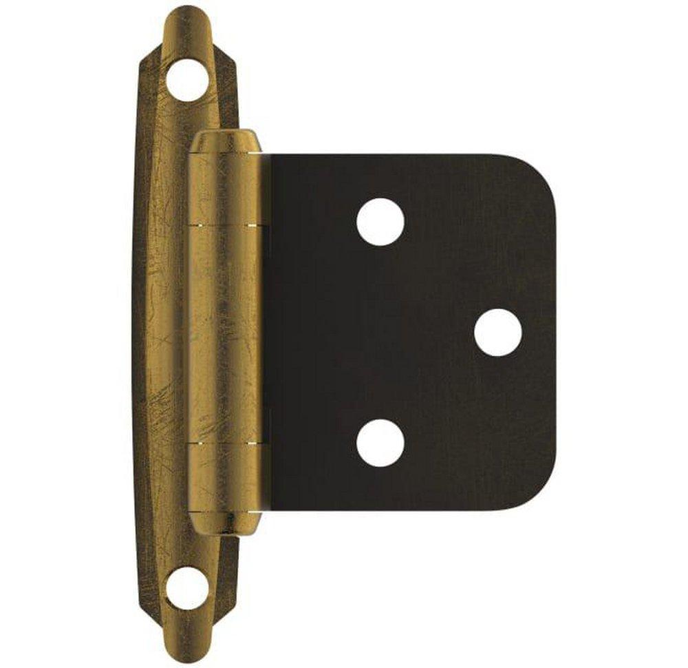 Amerock Antique Brass *CVR* VARIABLE OVERLAY SELF-CLOSING 