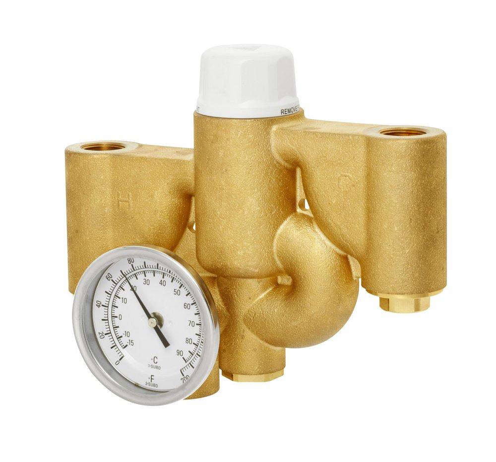 Speakman Rough Brass 3/4 x 1 in. FNPT Thermostat Mixing Valve 
