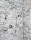 Delta Faucet Stainless Shower Flange 