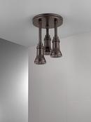 Delta Faucet Venetian Bronze Single Rain Showerhead 