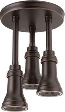 Delta Faucet Venetian Bronze Single Rain Showerhead 