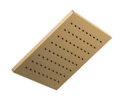 Single Function Showerhead in Brilliance&reg; Champagne Bronze