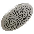 Single Function Showerhead in Stainless