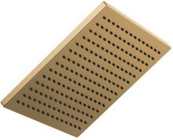 Single Function Showerhead in Brilliance&reg; Champagne Bronze