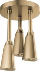 Delta Faucet Brilliance&reg; Champagne Bronze Single Function H2Okinetic&reg; PowerDrench&trade; Spray Showerhead 