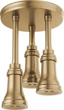 *CVR* 2.5 GPM UNIV SHOWERING COM H2 