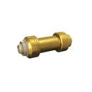 FNW&reg; Brass Push Check Valve 
