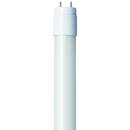 TCP White T8 LED Bulb Medium Bi-Pin Base 4100 Kelvin 300&deg; Dimmable 