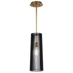 75W 1-Light Medium E-26 Incandescent Pendant in Black