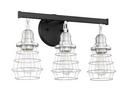 100W 3-Light Medium E-26 Incandescent Vanity Fixture in Flat Black with Brushed Polished Nickel