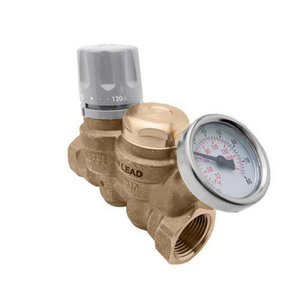 Caleffi North America FNPT Mixing Valve 