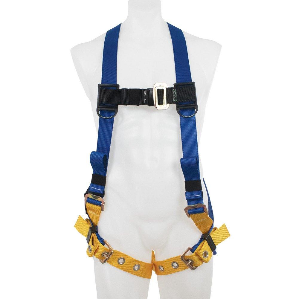 Werner Ladder Blue Harness 