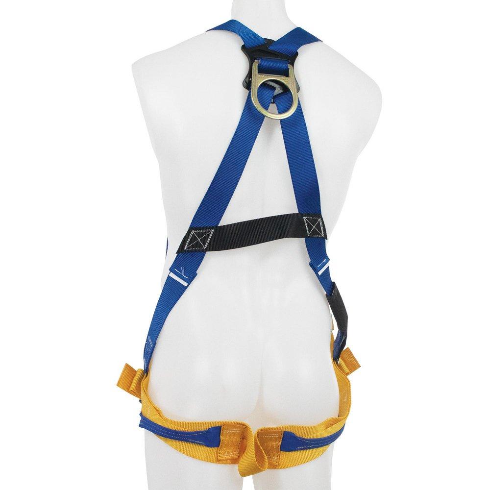 Werner Ladder Blue Harness 
