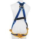 Werner Ladder Blue Harness 