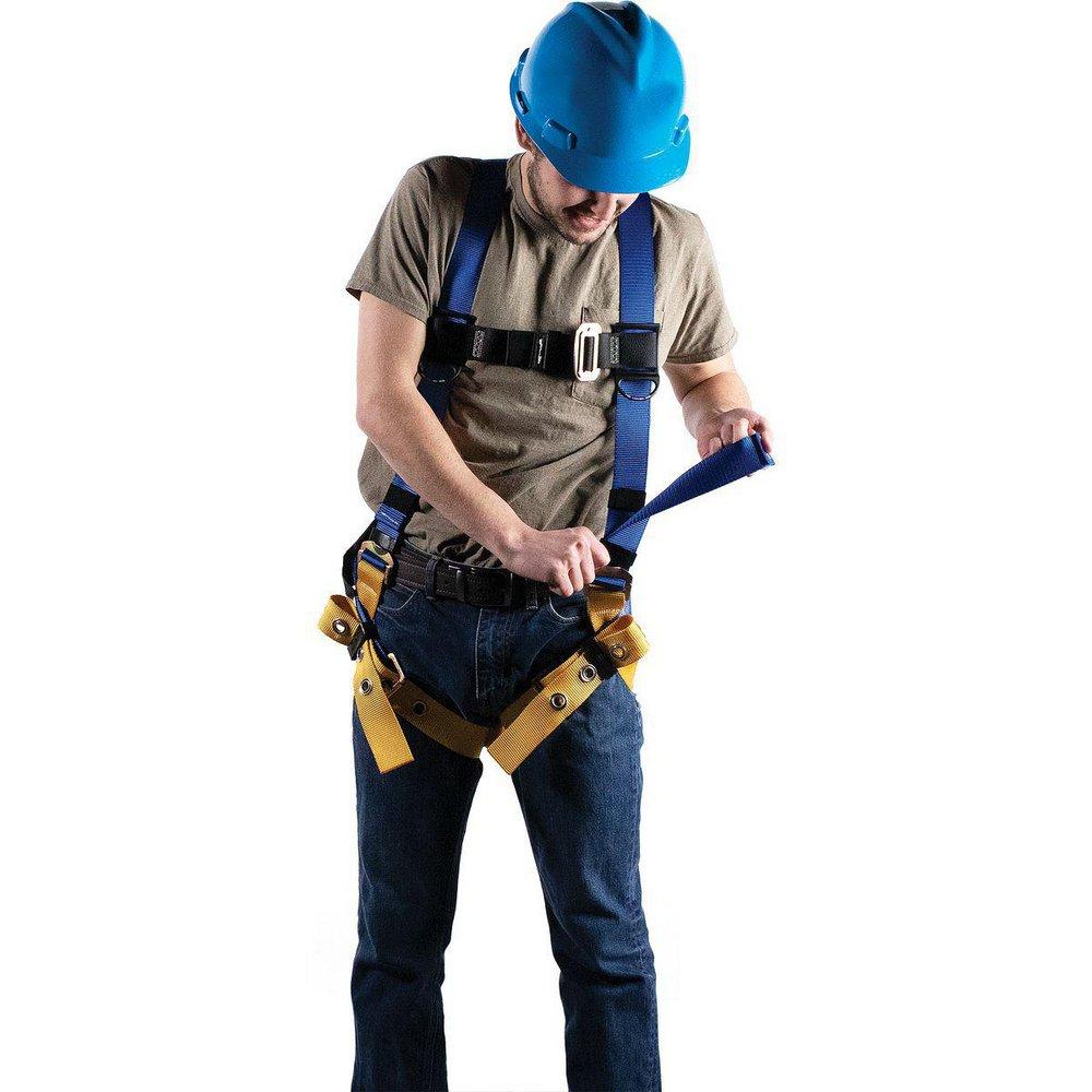 Werner Blue Polyester Harness in Blue 