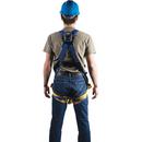 Werner Ladder Blue Polyester Harness 