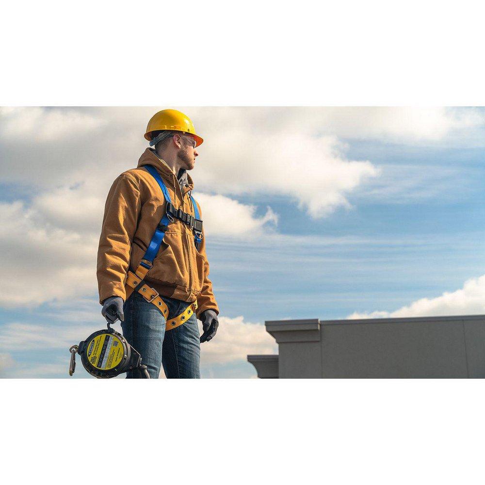 Werner Ladder Blue Polyester Harness 