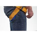 Werner Ladder Blue Polyester Harness 