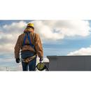 Werner Ladder Blue Polyester Harness 