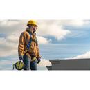 Werner Ladder Blue Polyester Harness 