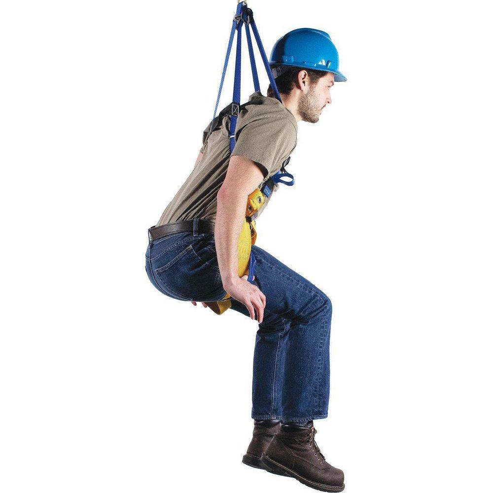 Werner Ladder Blue Polyester Harness 