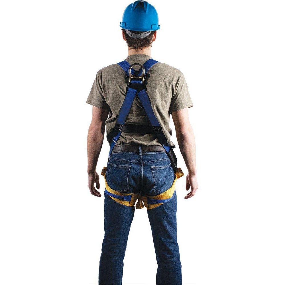 Werner Ladder Blue Polyester Harness 