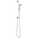 Multi Function Hand Shower in Polished Nickel