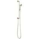 Brizo Polished Nickel Multi Function Hand Shower 