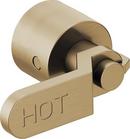 Brizo Luxe Gold Handle 