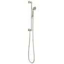 Multi Function Hand Shower in Luxe Nickel