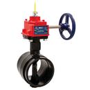 10 in. Ductile Iron Grooved EPDM Gear Operator with Switch Butterfly Valve