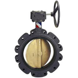 8 in. Ductile Iron Flanged EPDM Gear Operator Butterfly Valve