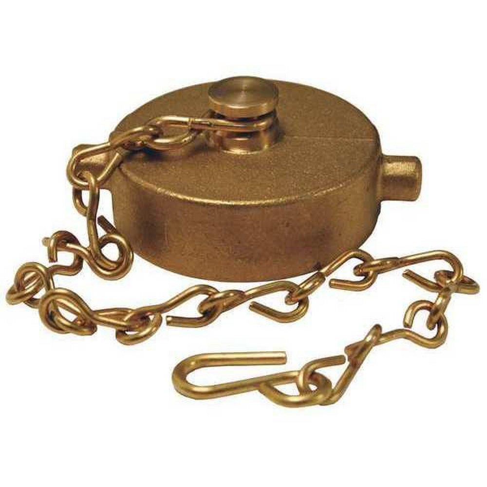 Dixon Valve & Coupling FNST Cast Brass Cap 