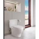 TOTO Sedona Beige 1.28 gpf Toilet Tank 