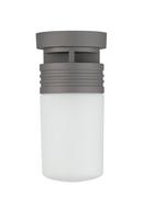 11W LED Outdoor Ceiling Fixture in Graphite