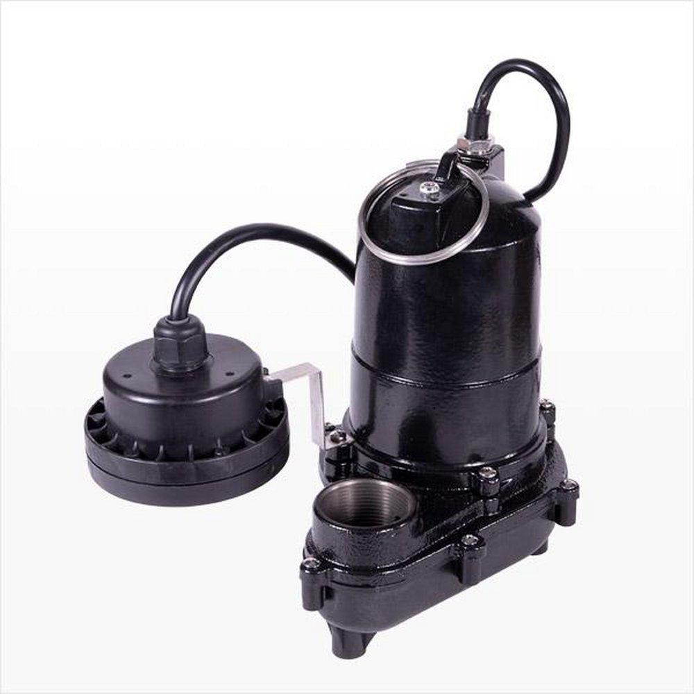 Metropolitan Industries 115V 45 gpm Cast Iron and Thermoplastic Sump Pump 