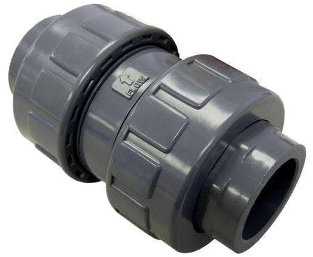 FNW&reg; PVC NPT x Socket Weld Check Valve 