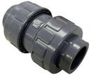 FNW&reg; PVC NPT x Socket Weld Check Valve 