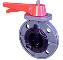 10 in. Plastic Flanged EPDM Gear Operator Butterfly Valve